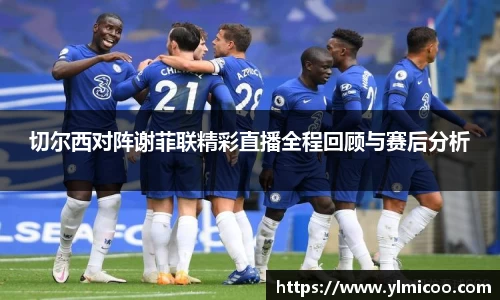 切尔西对阵谢菲联精彩直播全程回顾与赛后分析